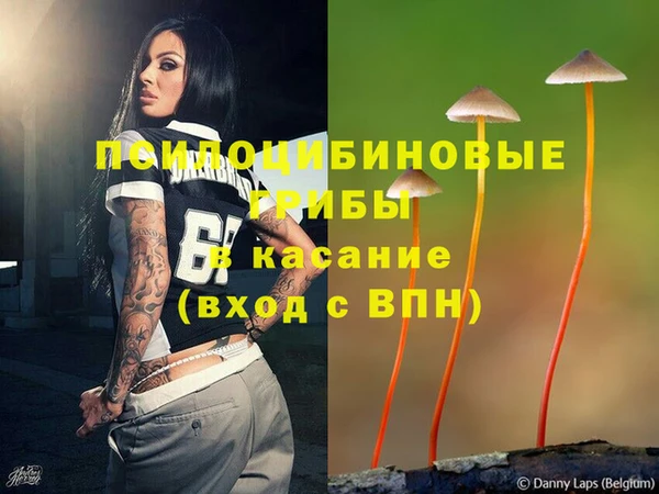 марки lsd Лабытнанги